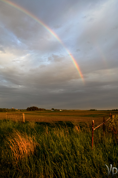 Golden Rainbow