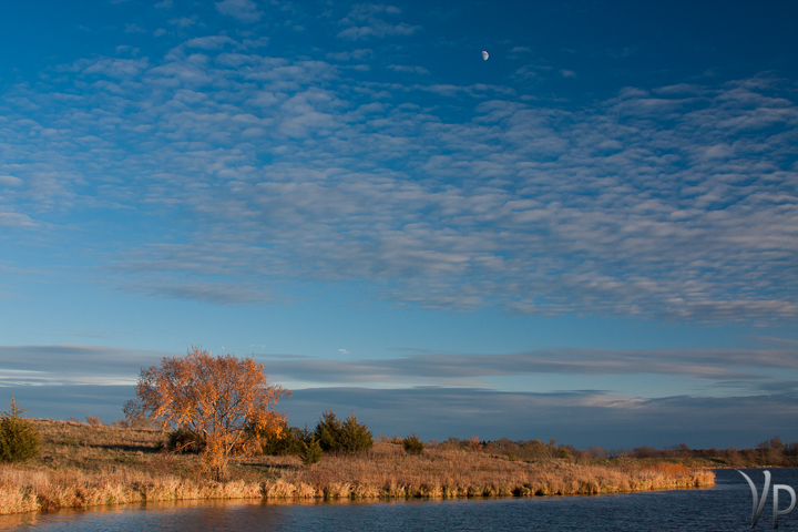 Half Moon Rises