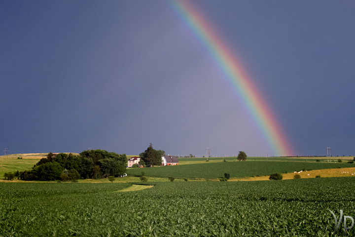 Perfect Rainbow