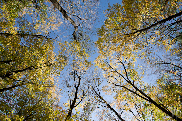 Reach for the Sky