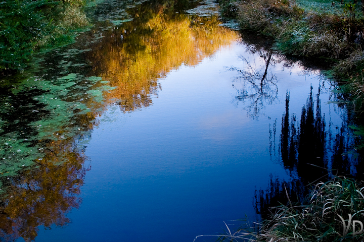 Reflections