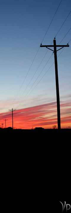 Telephone Poles